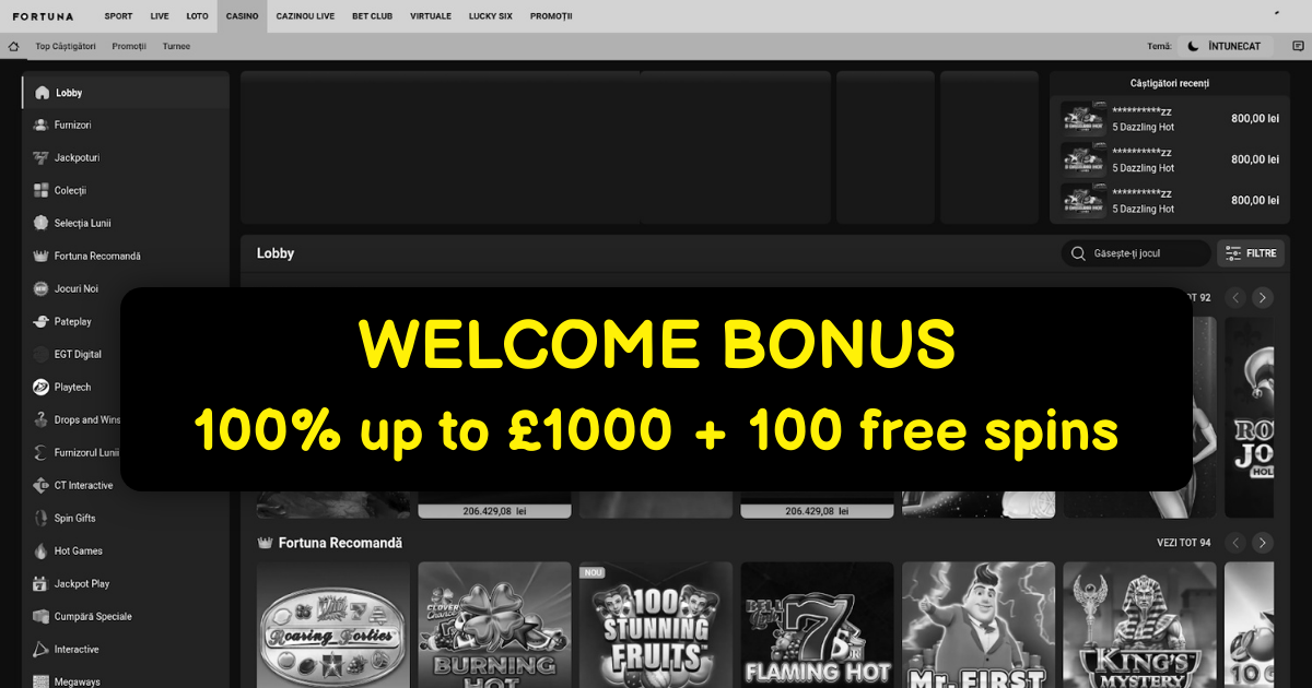Fortuna Casino - Premium Online Games & Slots | Exclusive Bonuses